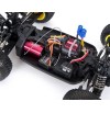 Losi Mini 8IGHT 1/14 Scale 4WD Brushless Electric Buggy RTR